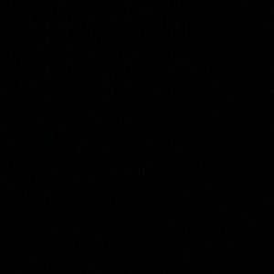 Meet your Posher, Max